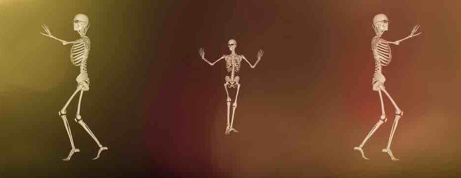 Shin bone connected to the knee bone…